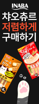 8월_이나바