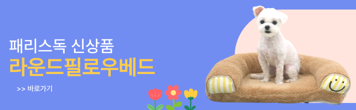 패리스독