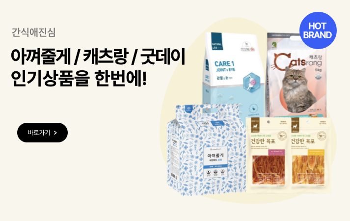 간식애진심