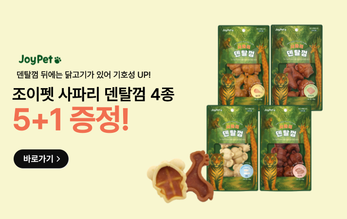 사파리 5+1