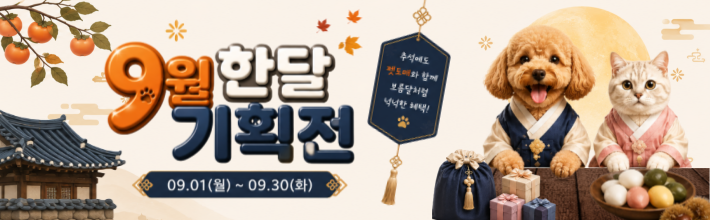 9월 _기획전