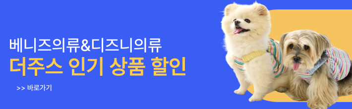 메인센터중간