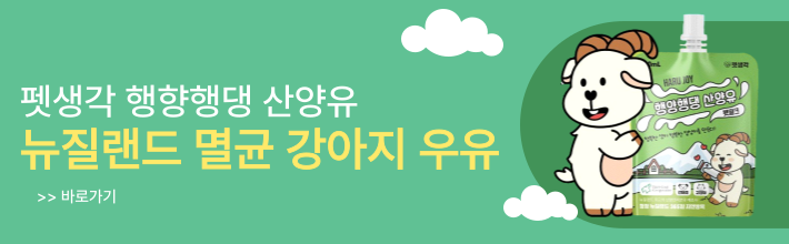 메인센터중간