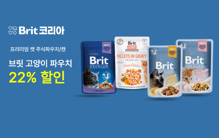 브릿