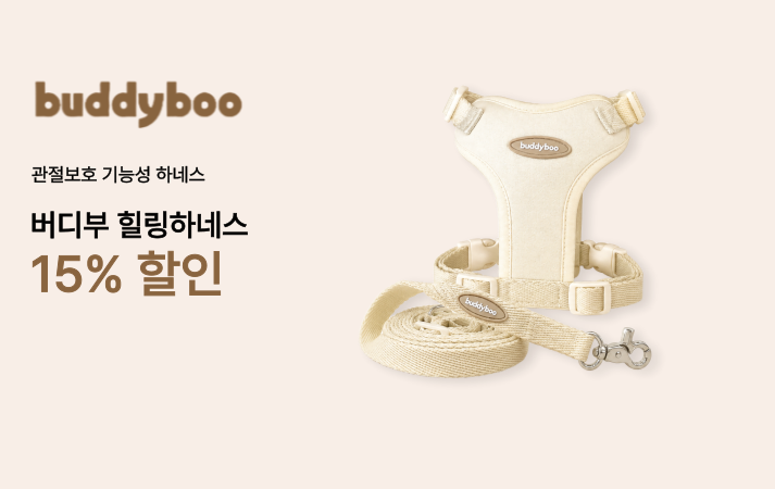 버디부