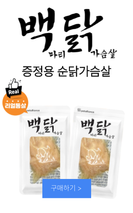 메인배너