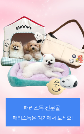 8_패리스독