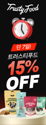 타임딜