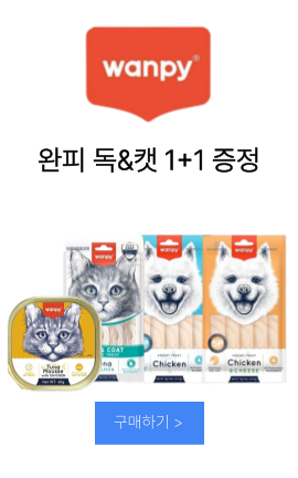 메인배너