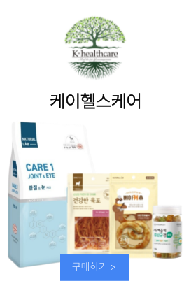 메인배너