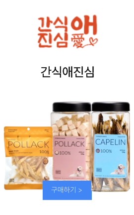 간식애진심