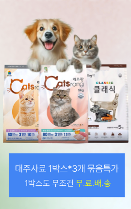 8_캐츠랑