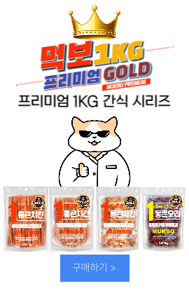 펫앤비코리아