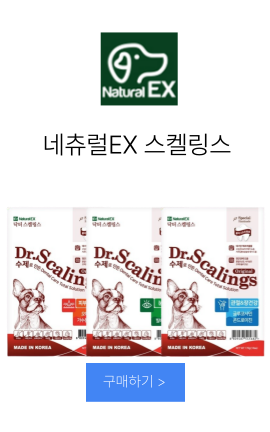 케이헬스케어