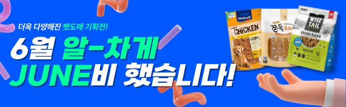 6월 기획전