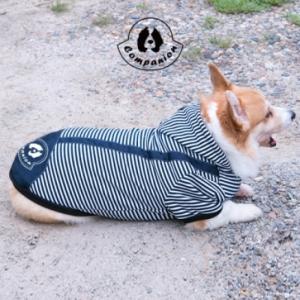 [컴패니언] 아몰랑/대형견의류 (6XL)