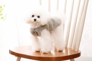 【매장】[펫디자인] 눈강아지 뽀글이 조끼 (카키/A344)