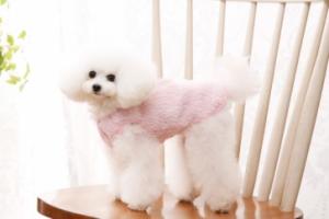 【매장】[펫디자인/A346-PETD] 와펜 뽀글이 양털조끼 (핑크)