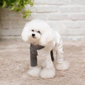 【매장】[펫디자인] 반반올인원 (그레이)