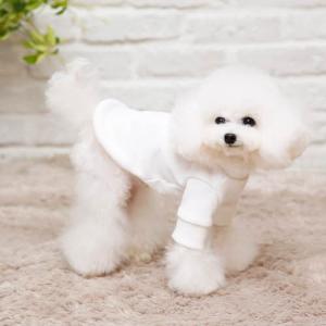 【매장】[펫디자인] 브이넥맨투맨 (화이트)