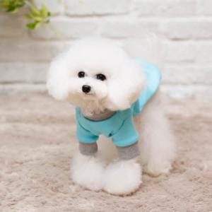 【매장】[펫디자인] 브이넥맨투맨 (민트)