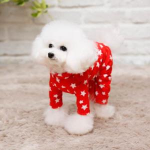 【매장】[펫디자인] 별 벨벳올인원 (레드)