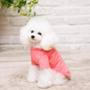 【매장】[펫디자인] 쭈리반팔티셔츠 (피치)