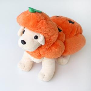 【매장】호박 코스튬 강아지 할로윈 의상