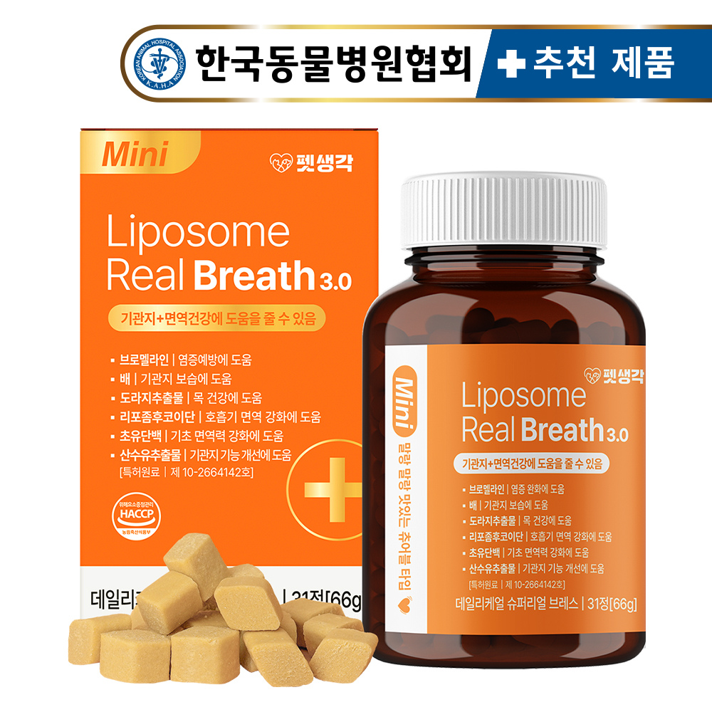 펫생각 강아지 기관지 호흡기 면역력 기관지염 협착증 영양제 66g