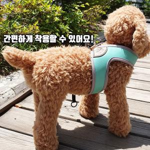 버킹검-브이하네스 핑크(L)