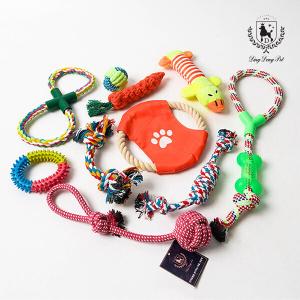 딩동펫 반려동물 납작오리실타래 10종 SET