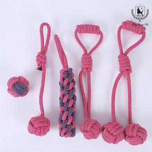 【매장】딩동펫 반려동물 피치 실타래 5종 SET