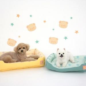패리스독 베어쿨 양면베드(옐로우)M
