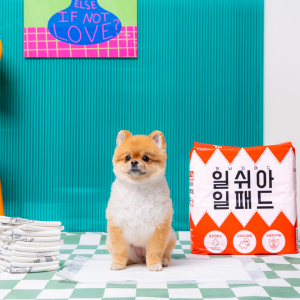 개님의패드 강아지 배변패드 베이직 40x50cm 1팩 총 100매