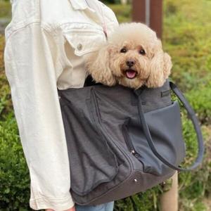 코사펫 아메노백 숄더백 이동가방 (그레이/L)