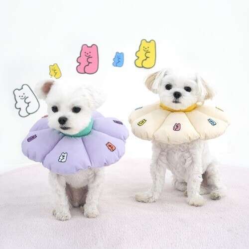 [ParisDog] 젤리베어 넥카라