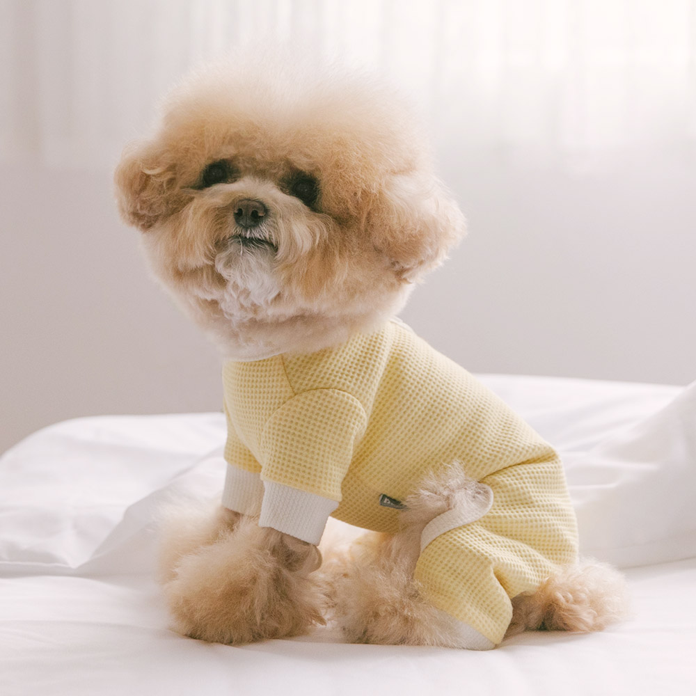 펫츠랜드 더블버튼와플 올인원 2color  S-2XL