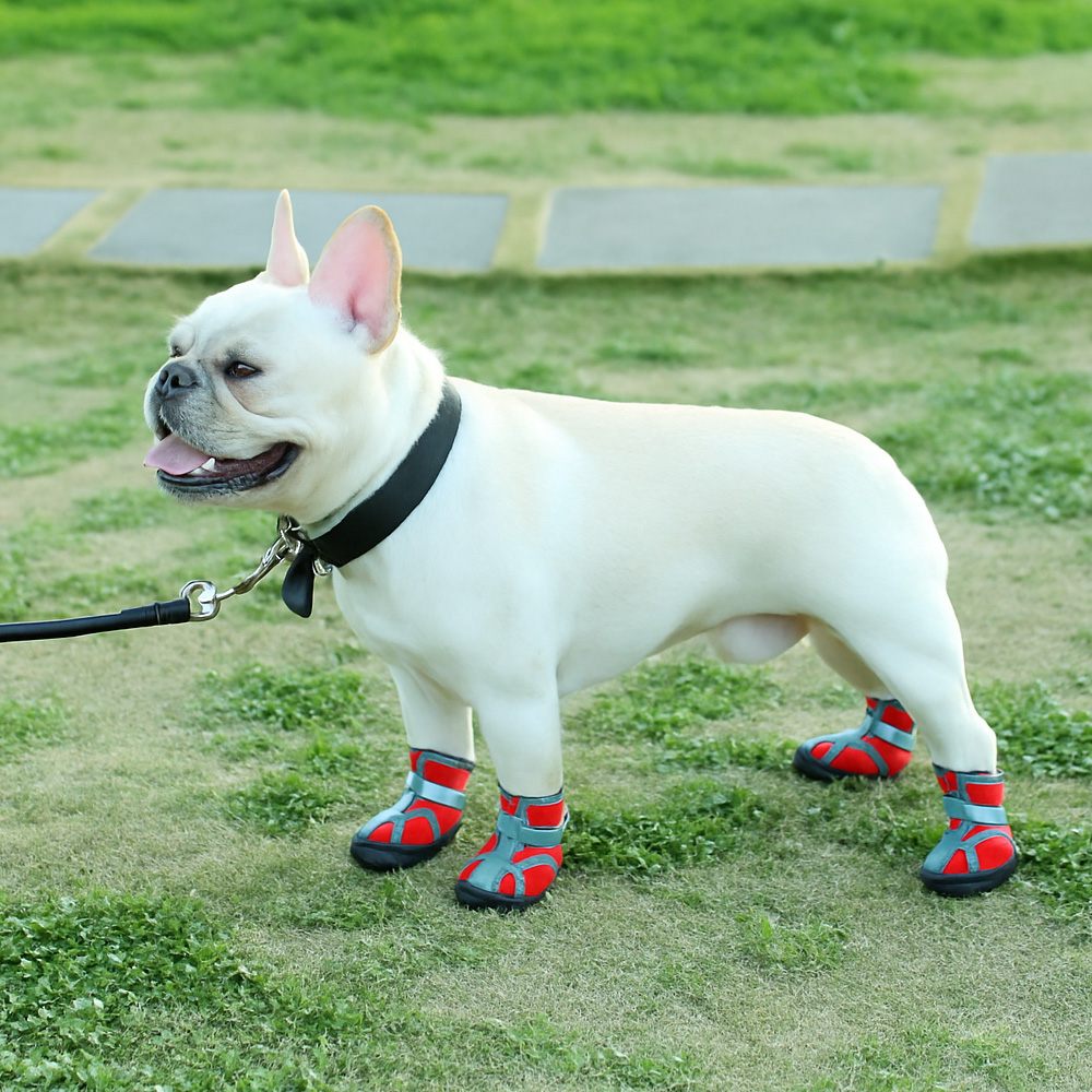 [레드퍼피] 드라코 강아지메쉬신발