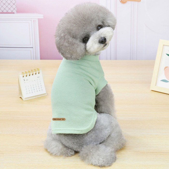 [원가판매] 딩동펫 반려동물 데일리 티셔츠