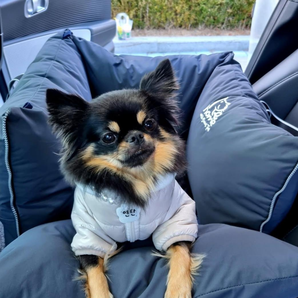 [스윗테일] 핸드메이드 강아지카시트 올라운드 딥그레이