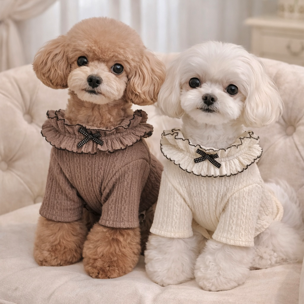 [패션독]  라떼프릴티