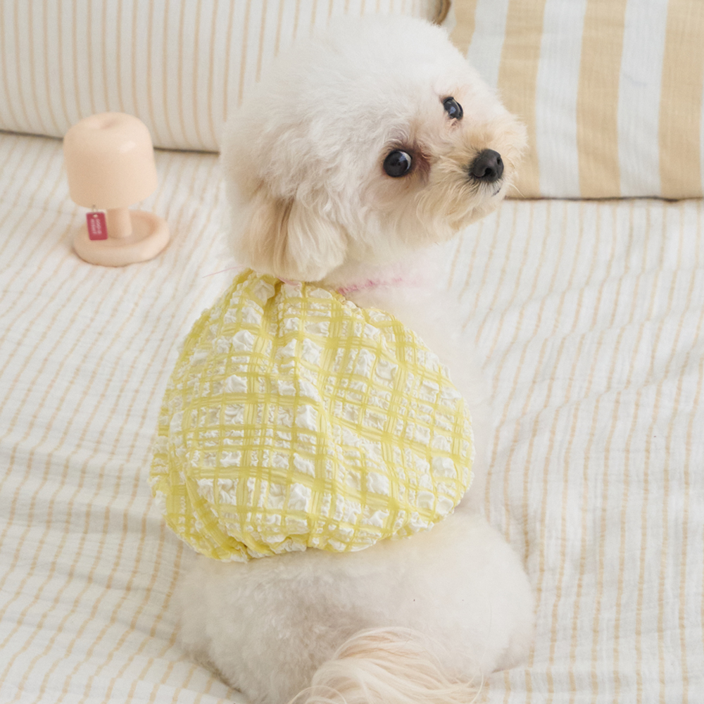 베니즈 시트러스 벌룬 탑 옐로우 S-XL