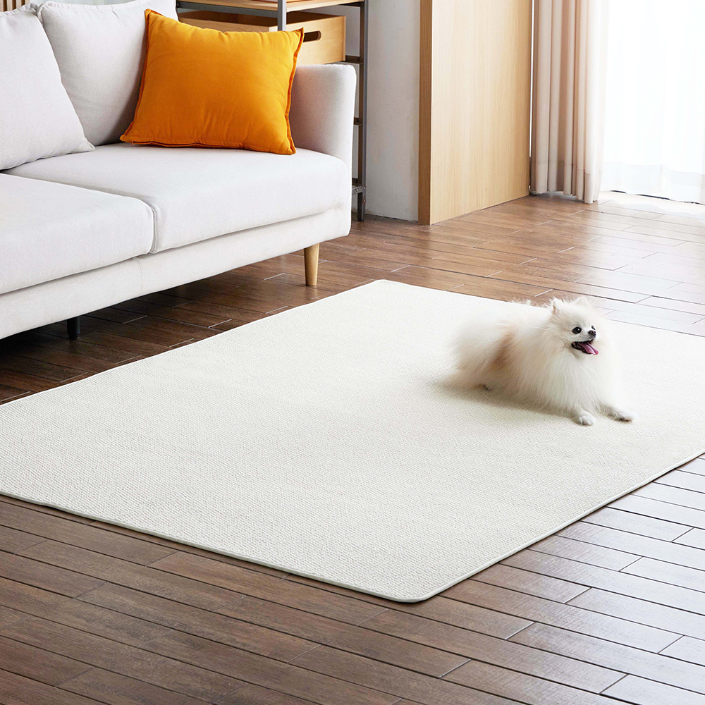 온누안 관리편한 미끄럼방지 논슬립 강아지 카페트 매트