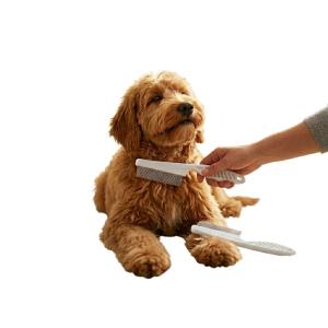 반려동물 엉킨털 죽은털 제거 털갈이 브러쉬 눈꼽빗