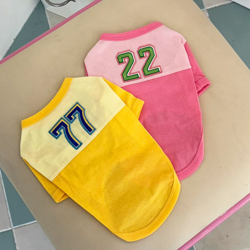 [21DH] 숫자배색티(핑크)