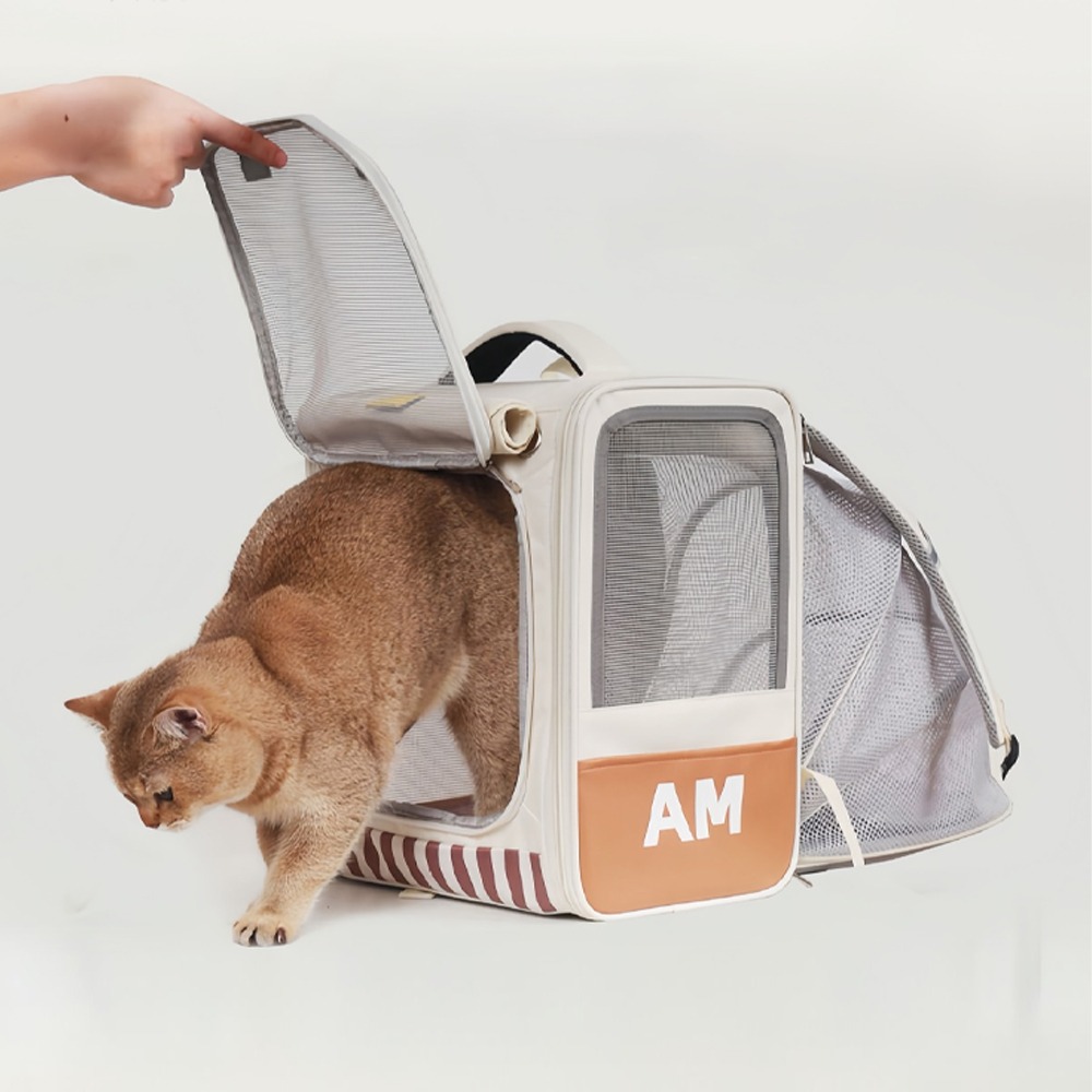 [레드퍼피] 라이온 확장형 백팩