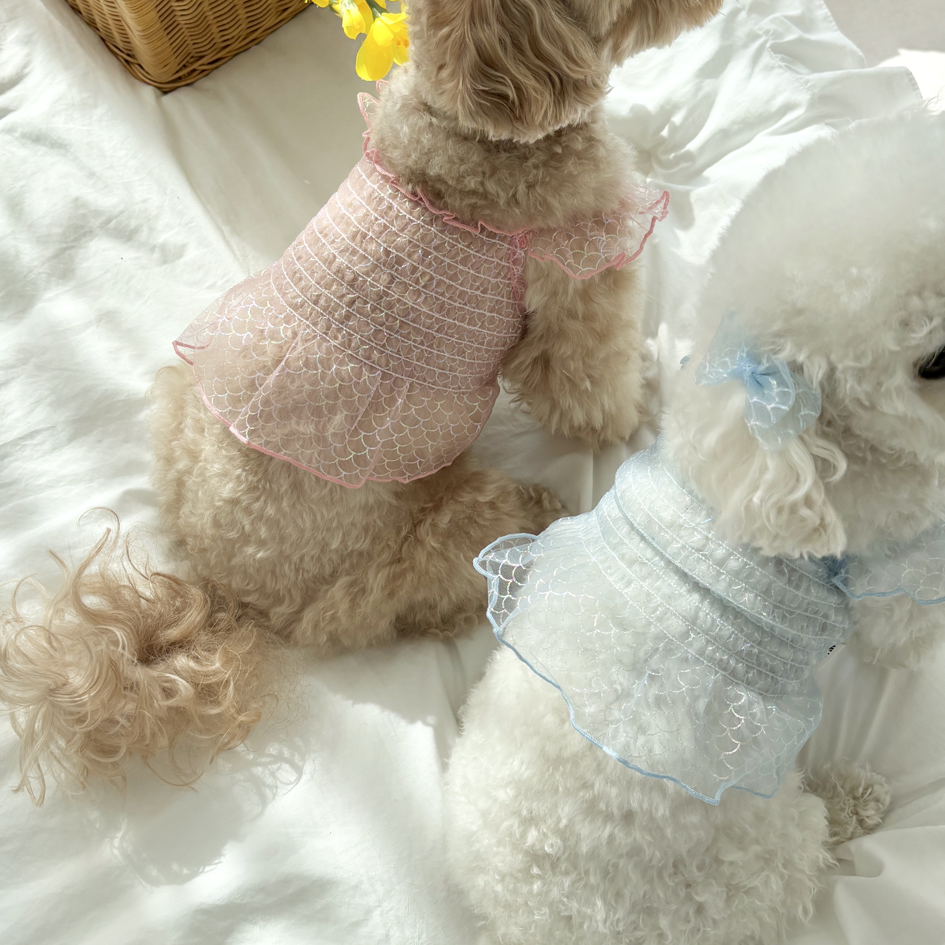 머메이드 뷔스티에 원피스 (S - 4XL)