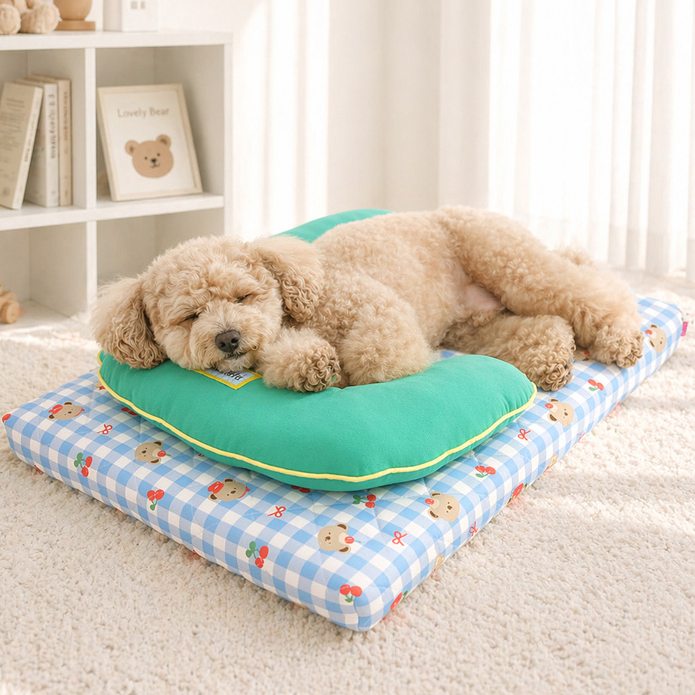 [패리스독] 셰프베어쿨베딩세트