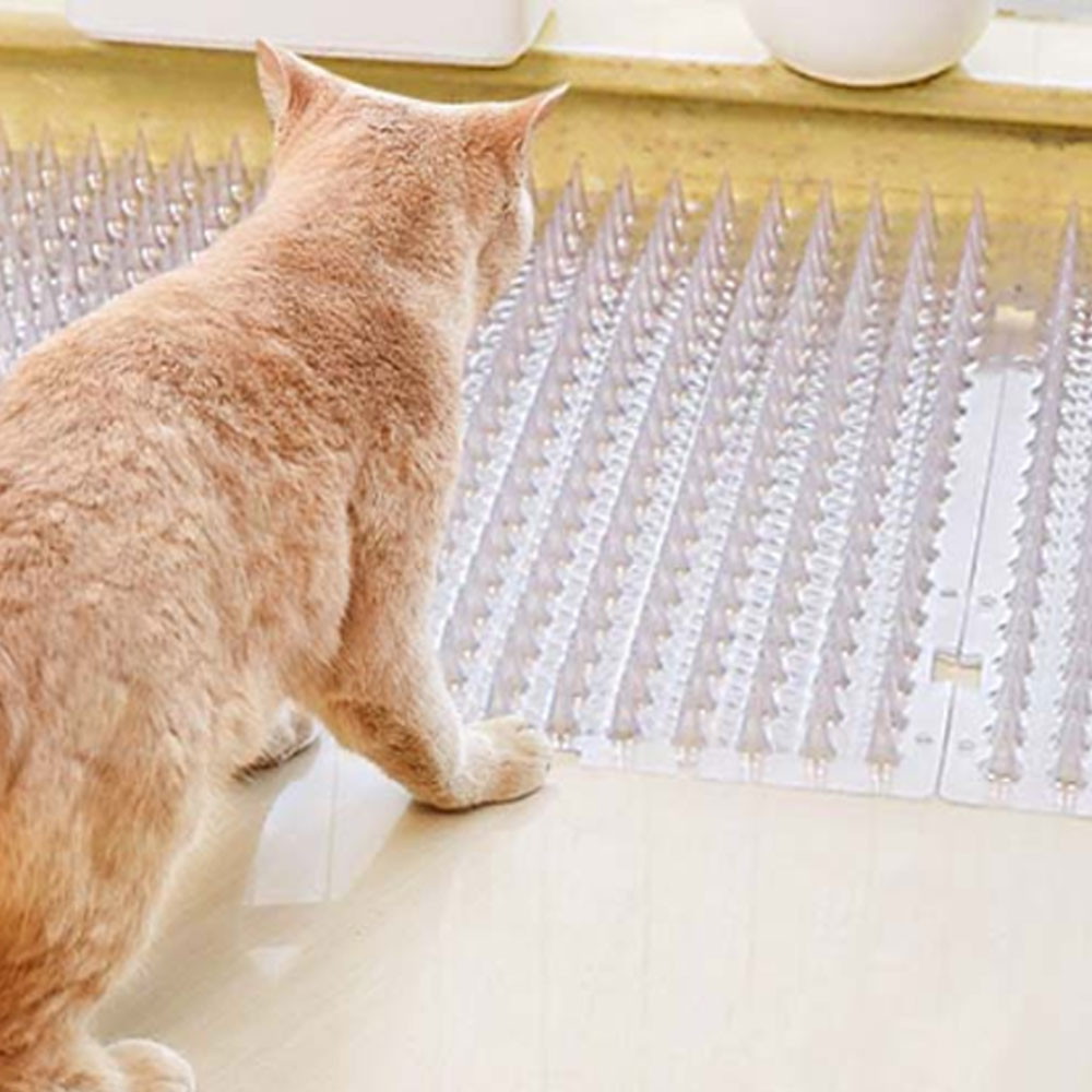 딩동펫 반려동물 소프트 샤프니스 고양이 접근금지 매트