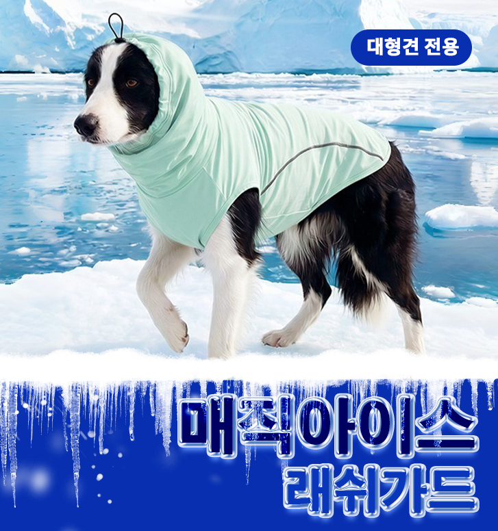 [레드퍼피] 매직아이스 래쉬가드